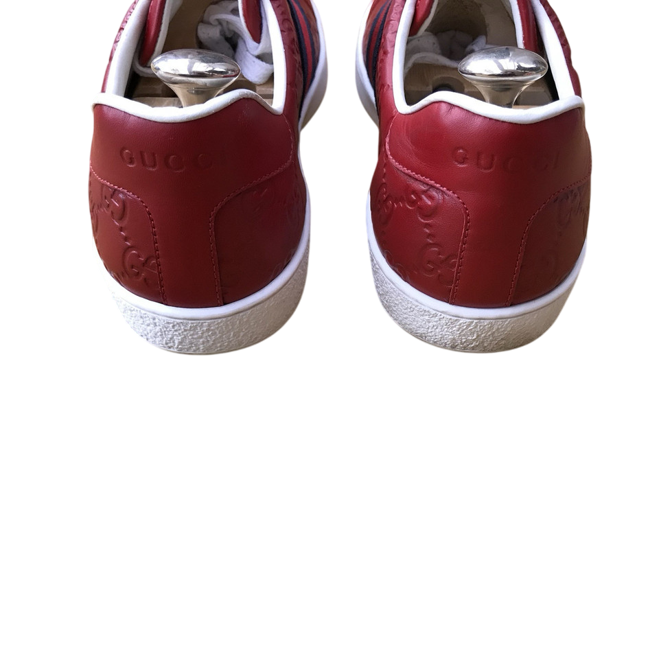 Gucci Ace Red Sneaker With Web