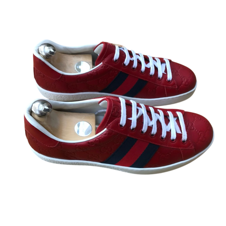 Gucci Ace Red Sneaker With Web