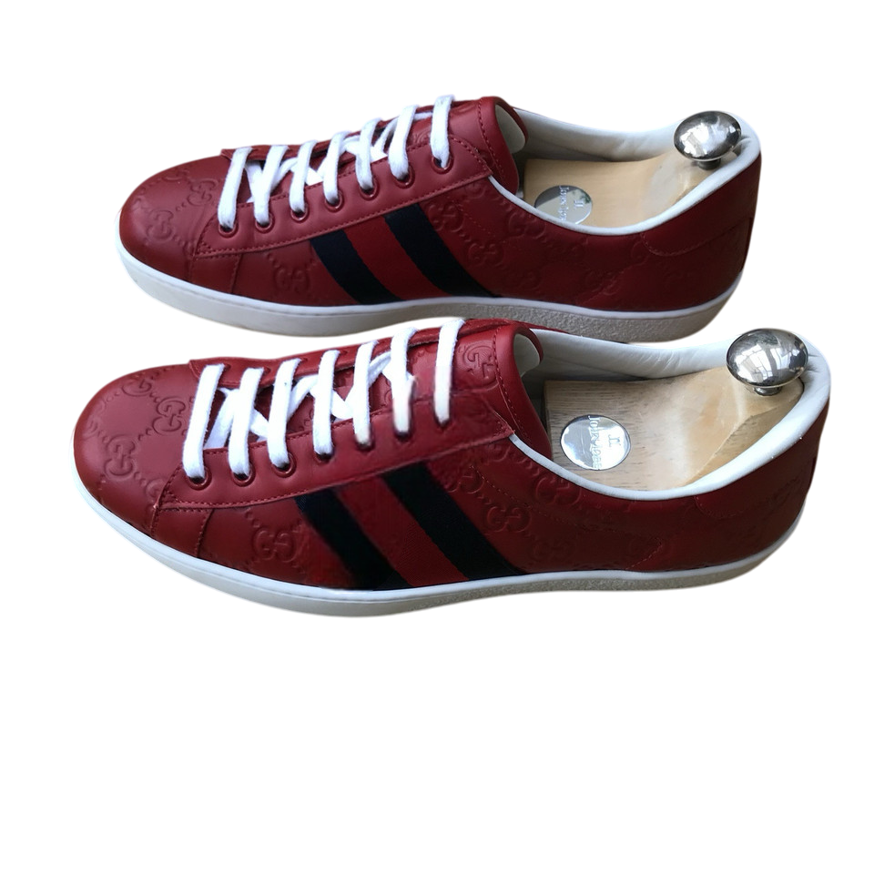 Gucci Ace Red Sneaker With Web